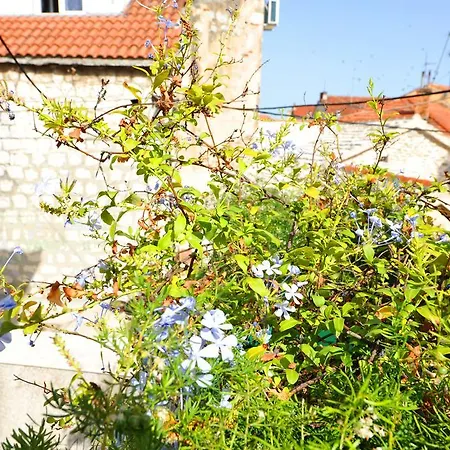 Apartman Branka Split
