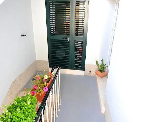 Branka Apartman